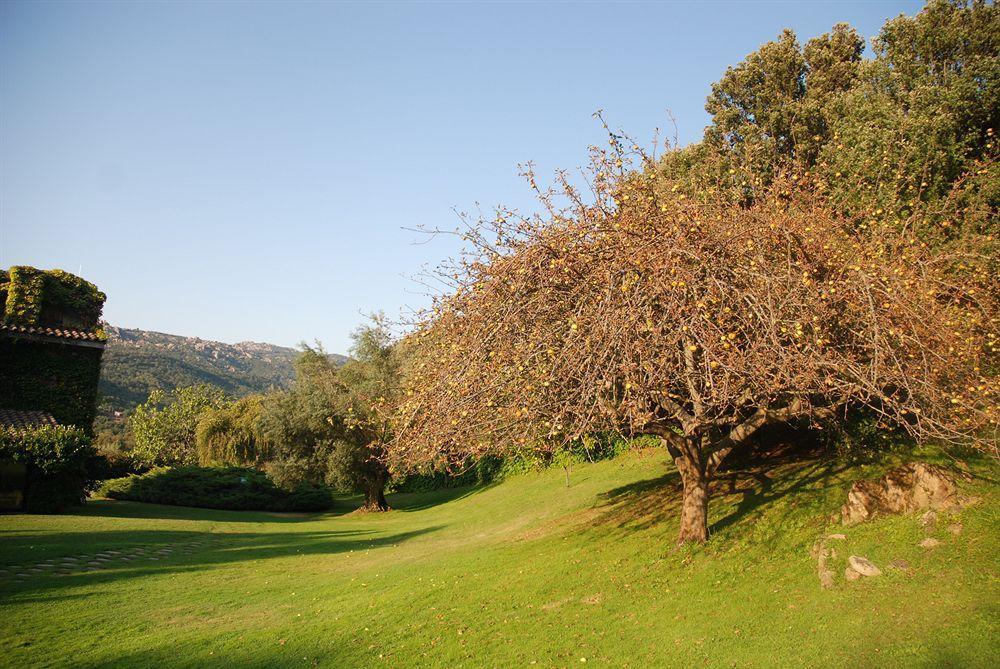 L'Agnata di De André Boutique Hotel Tempio Pausania Esterno foto